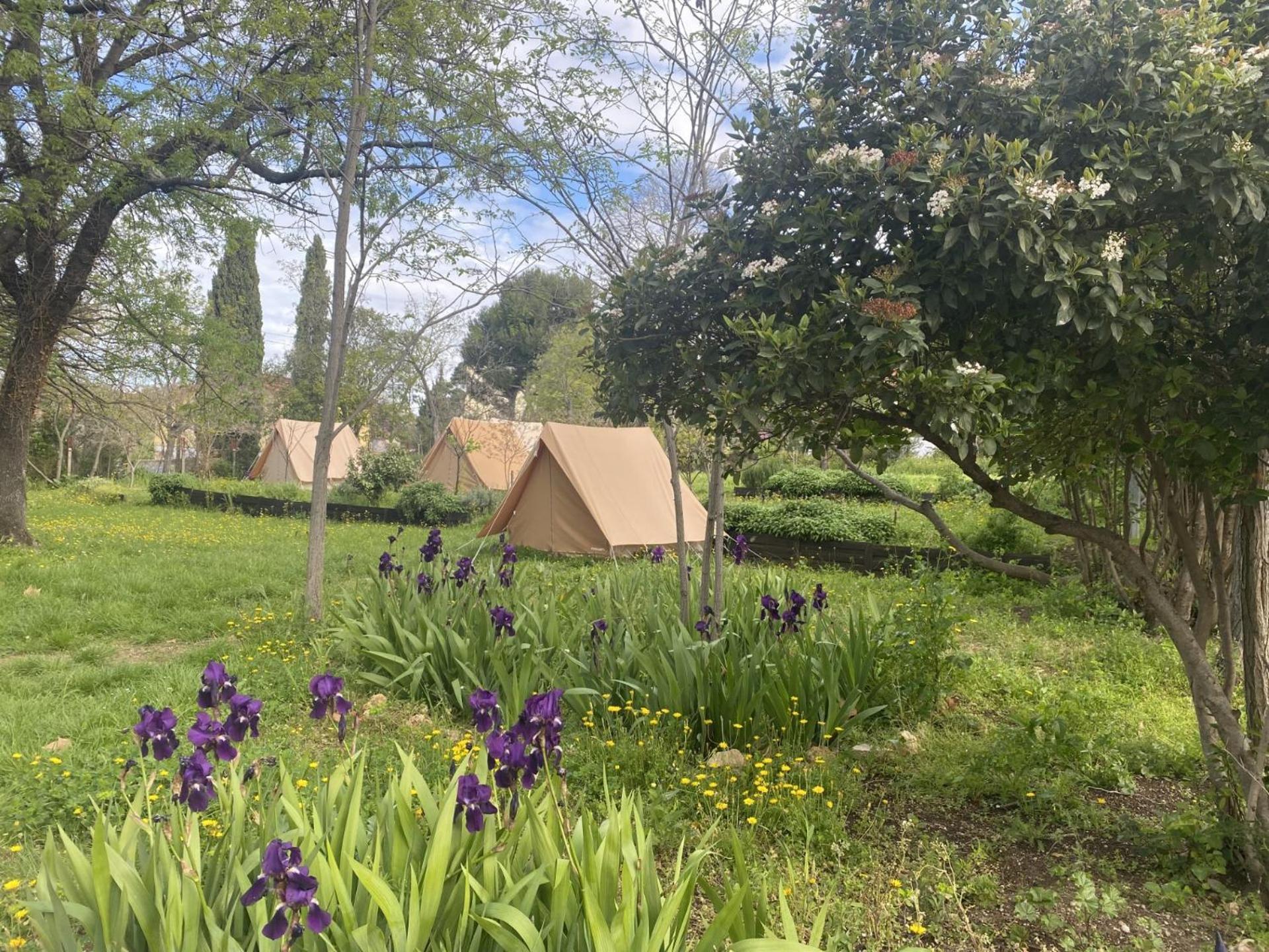 Auberge de jeunesse Hi Bois-luzy *